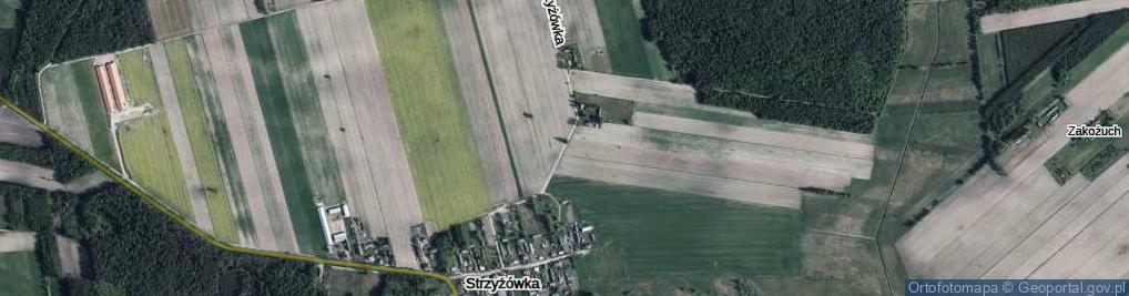 Zdjęcie satelitarne Strzyżówka ul.