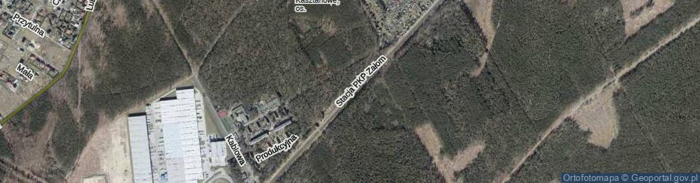 Zdjęcie satelitarne Stacja PKP Załom ul.