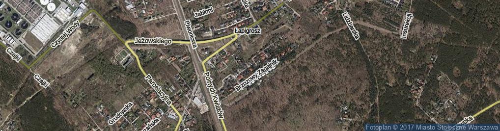 Zdjęcie satelitarne Starego Dębu ul.