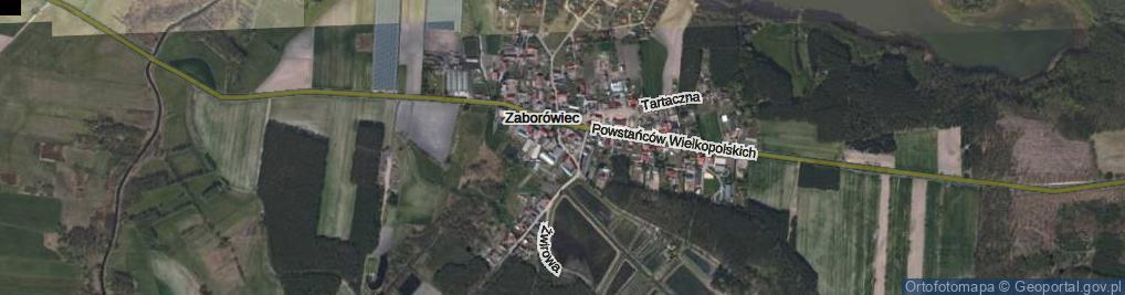 Zdjęcie satelitarne Staroleszczyńska ul.