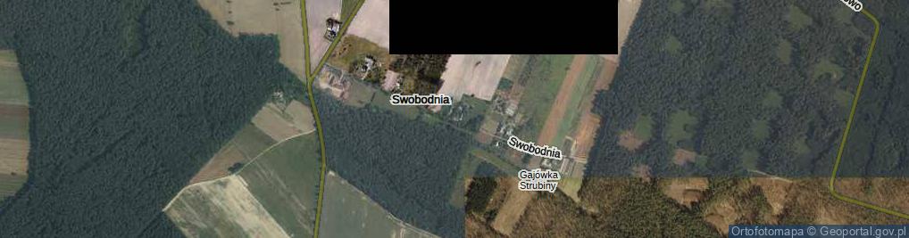 Zdjęcie satelitarne Swobodnia ul.