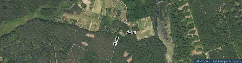 Zdjęcie satelitarne Świnki ul.