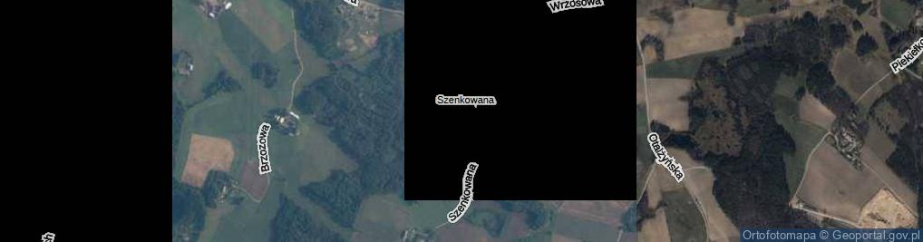 Zdjęcie satelitarne Szenkowana ul.