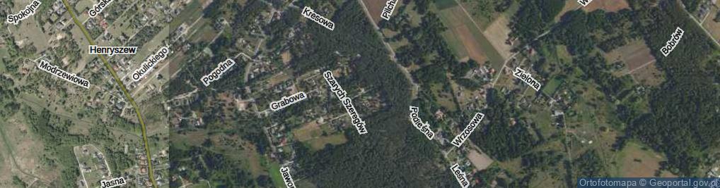 Zdjęcie satelitarne Szyszkowa ul.