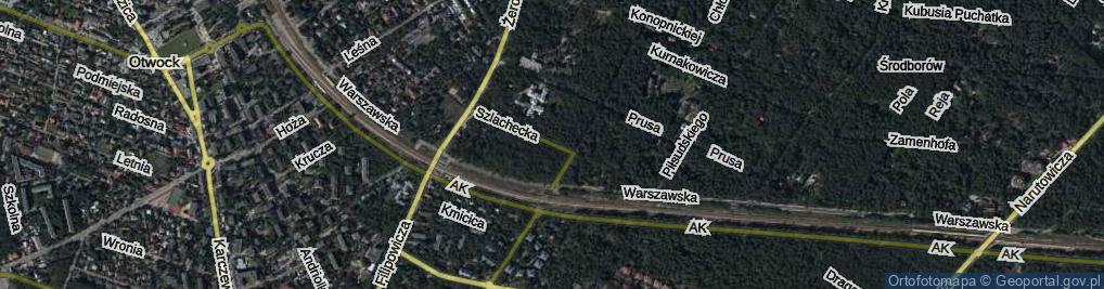 Zdjęcie satelitarne Szlachecka ul.