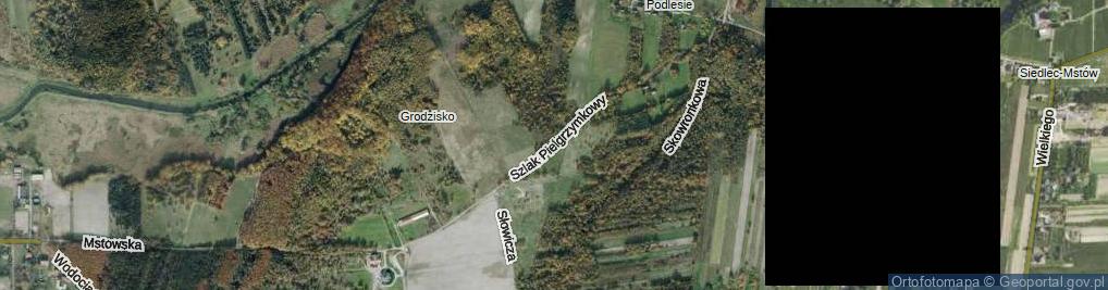 Zdjęcie satelitarne Szlak Pielgrzymkowy ul.