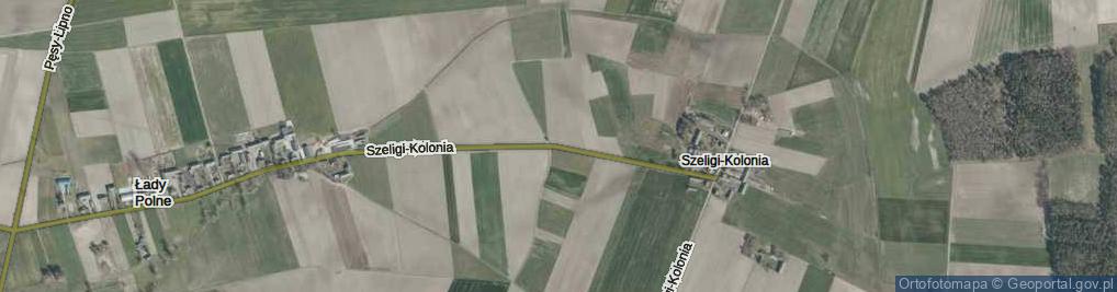 Zdjęcie satelitarne Szeligi-Kolonia ul.