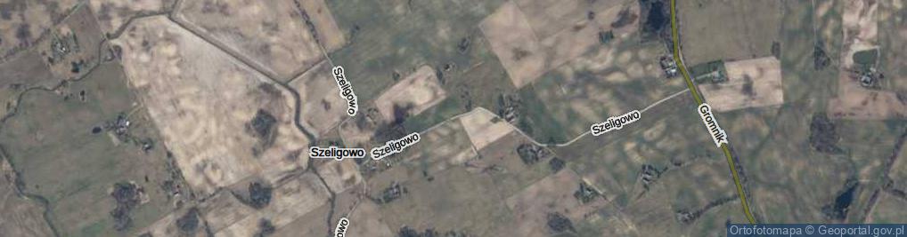 Zdjęcie satelitarne Szeligowo ul.