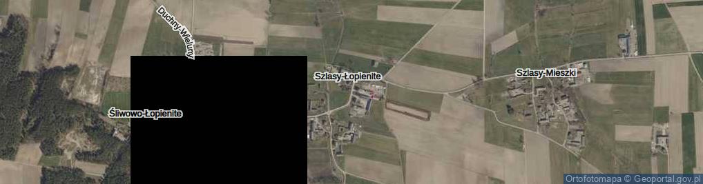 Zdjęcie satelitarne Szlasy-Łopienite ul.