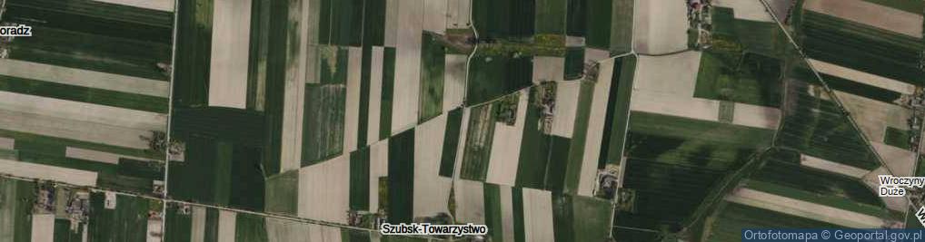 Zdjęcie satelitarne Szubsk-Towarzystwo ul.