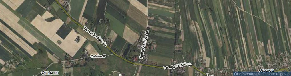 Zdjęcie satelitarne Tarnogóra-Kolonia ul.