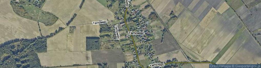 Zdjęcie satelitarne Tarnowiec ul.