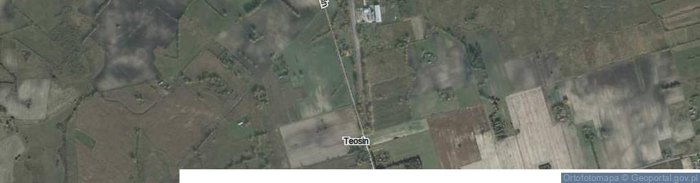 Zdjęcie satelitarne Teosin ul.
