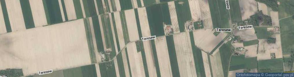 Zdjęcie satelitarne Teresew ul.