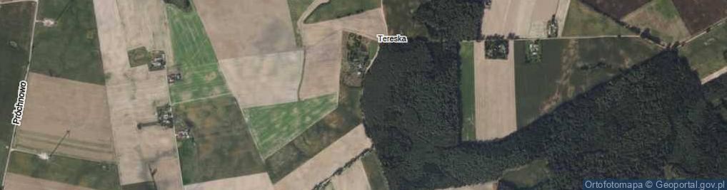 Zdjęcie satelitarne Tereska ul.