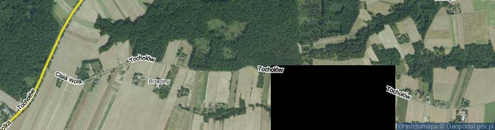 Zdjęcie satelitarne Tochołów ul.