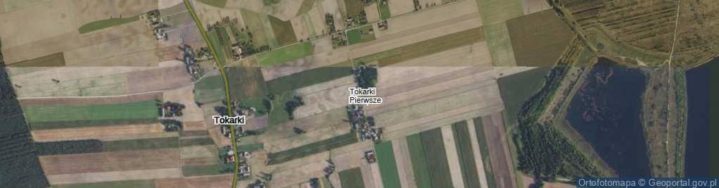 Zdjęcie satelitarne Tokarki Pierwsze ul.