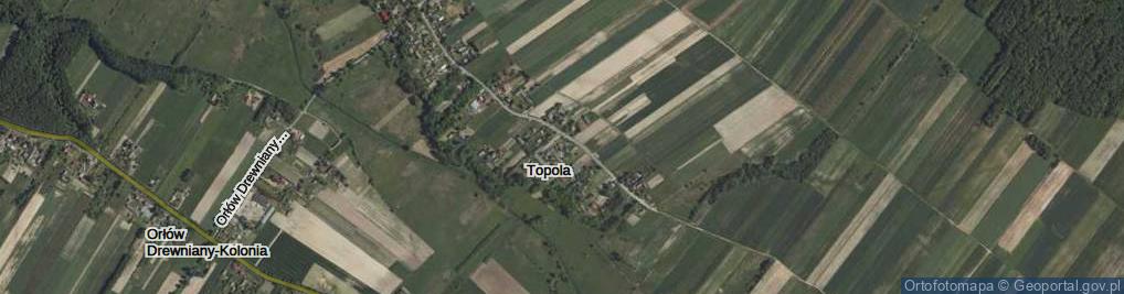 Zdjęcie satelitarne Topola ul.