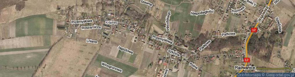 Zdjęcie satelitarne Truskawkowa ul.