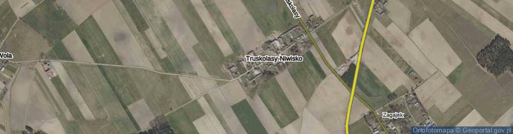 Zdjęcie satelitarne Truskolasy-Niwisko ul.