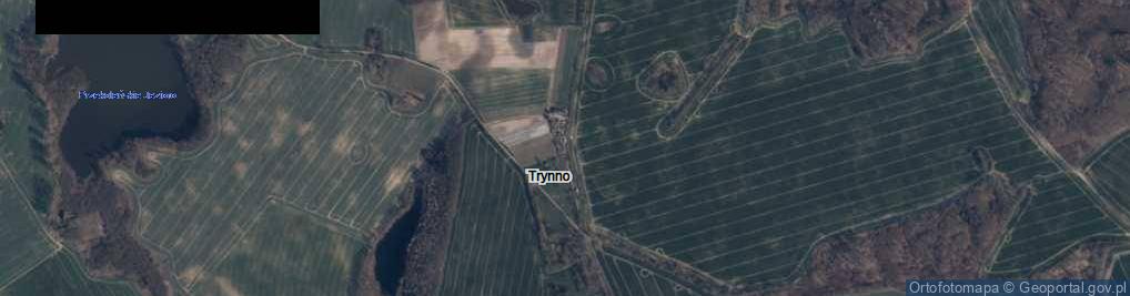Zdjęcie satelitarne Trynno ul.