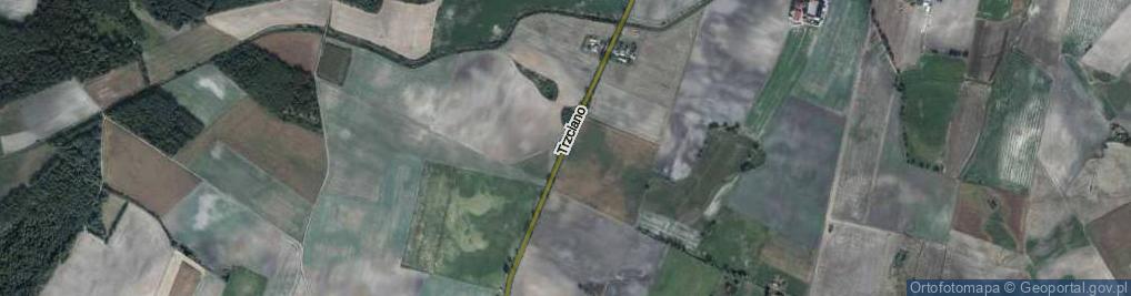 Zdjęcie satelitarne Trzciano ul.