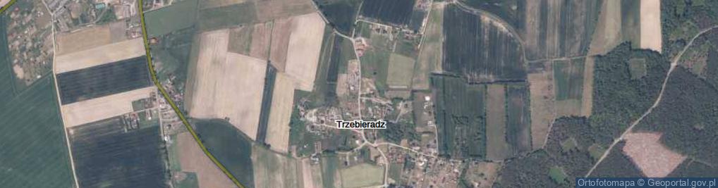 Zdjęcie satelitarne Trzebieradz ul.