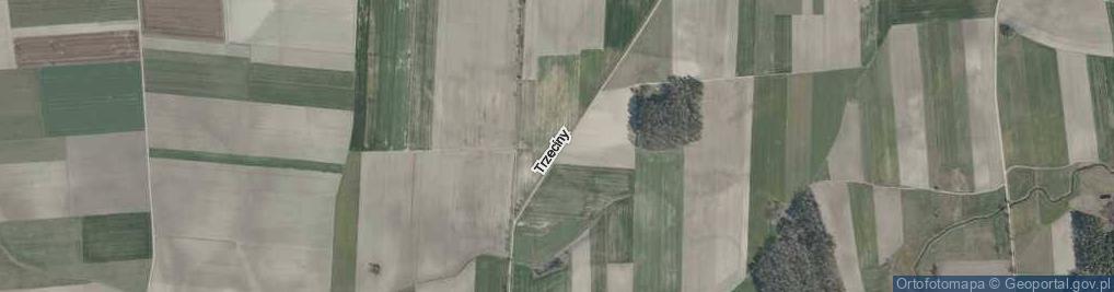Zdjęcie satelitarne Trzeciny ul.