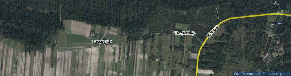 Zdjęcie satelitarne Trzepietniak ul.