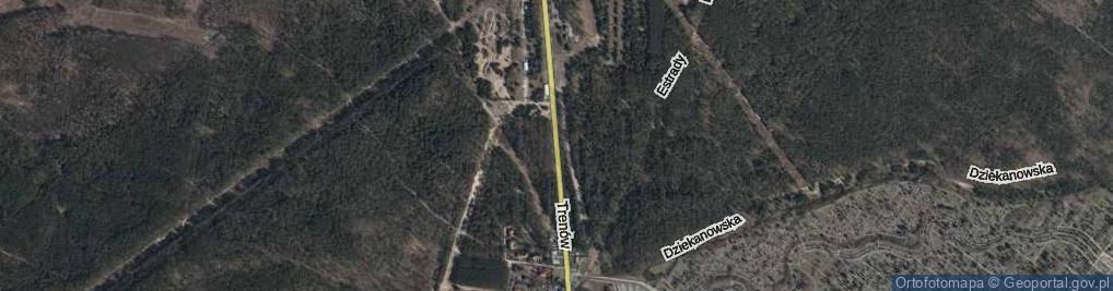 Zdjęcie satelitarne Trenów ul.