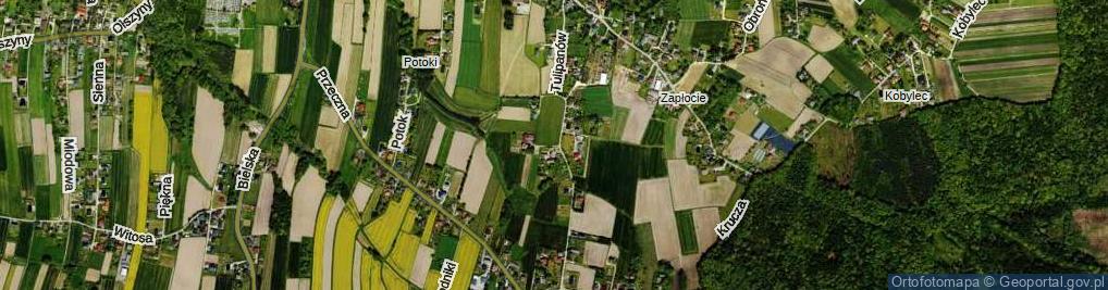 Zdjęcie satelitarne Tulipanów ul.