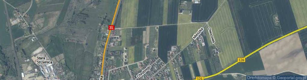 Zdjęcie satelitarne Tulipanowa ul.