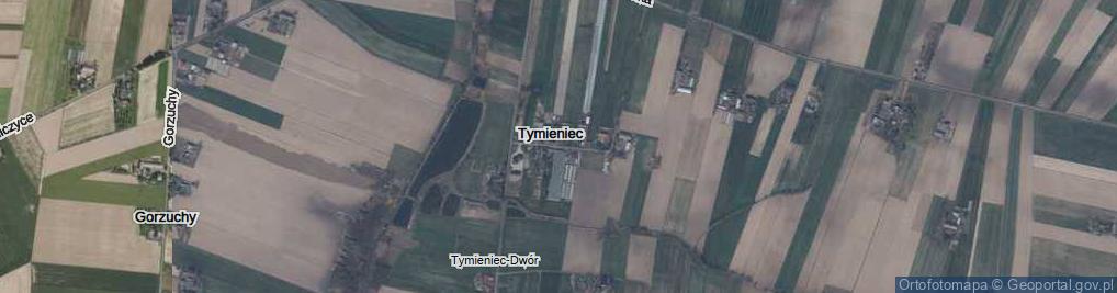 Zdjęcie satelitarne Tymieniec ul.