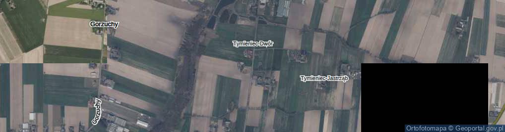 Zdjęcie satelitarne Tymieniec-Dwór ul.