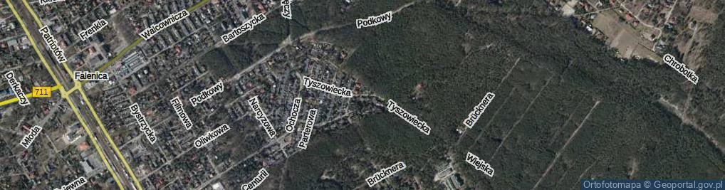 Zdjęcie satelitarne Tyszowiecka ul.
