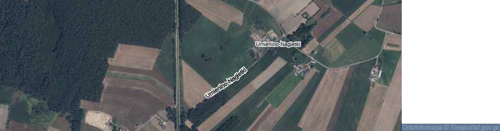 Zdjęcie satelitarne Umienino-Nagietki ul.