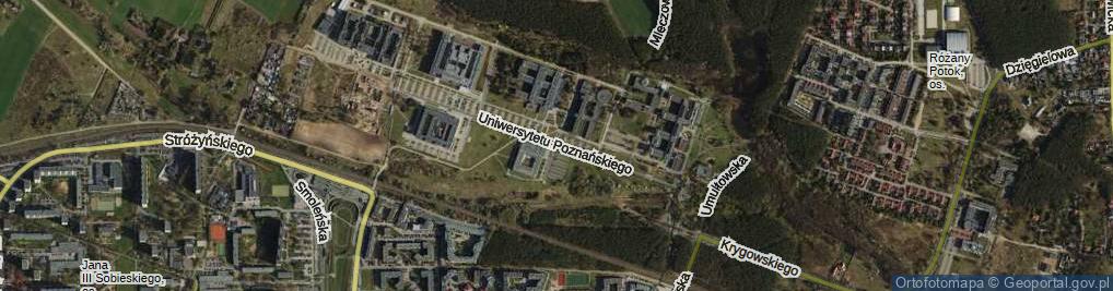 Zdjęcie satelitarne Uniwersytetu Poznańskiego ul.
