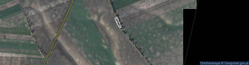 Zdjęcie satelitarne Uśmierz ul.
