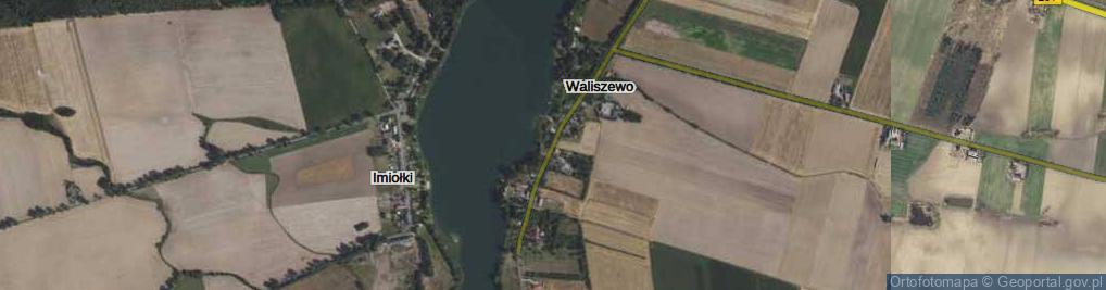 Zdjęcie satelitarne Waliszewo ul.