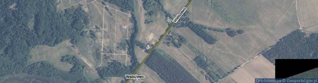 Zdjęcie satelitarne Waliszewo ul.