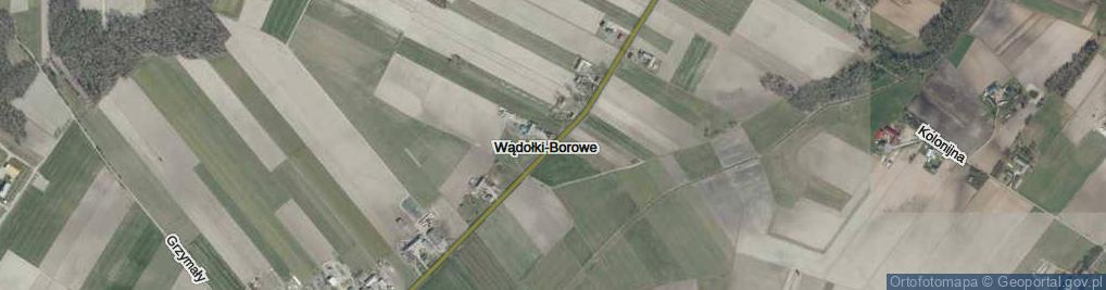 Zdjęcie satelitarne Wądołki-Borowe ul.