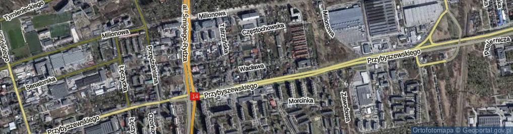 Zdjęcie satelitarne Wacława ul.
