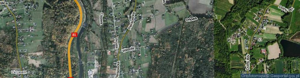 Zdjęcie satelitarne Wesoła ul.