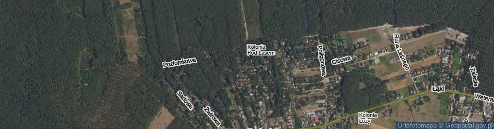 Zdjęcie satelitarne Wiśniowa ul.