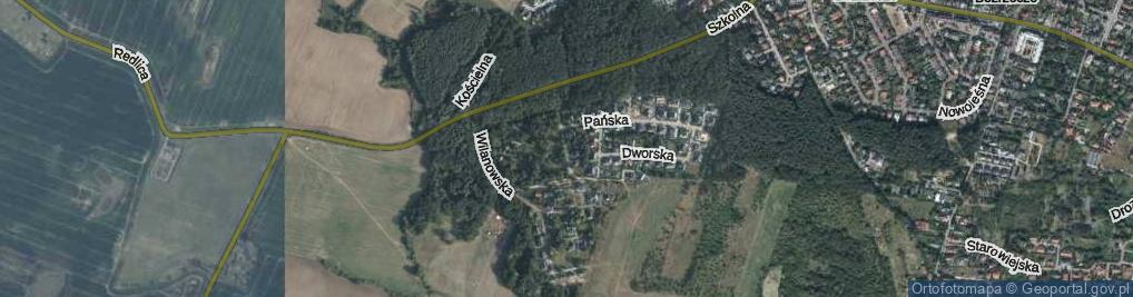 Zdjęcie satelitarne Willowa ul.