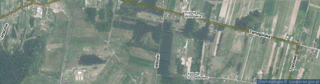 Zdjęcie satelitarne Witomin ul.