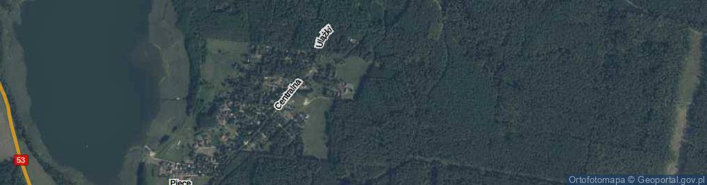 Zdjęcie satelitarne Wilcza ul.