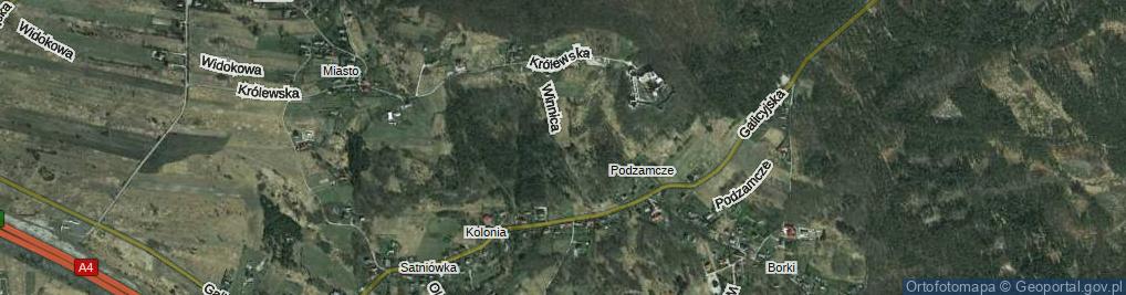 Zdjęcie satelitarne Winnica ul.