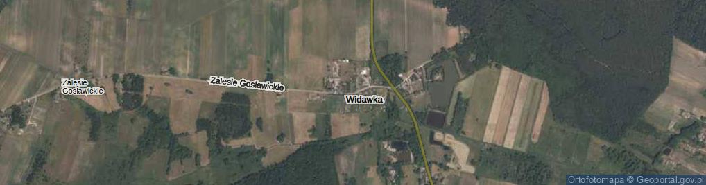 Zdjęcie satelitarne Widawka ul.