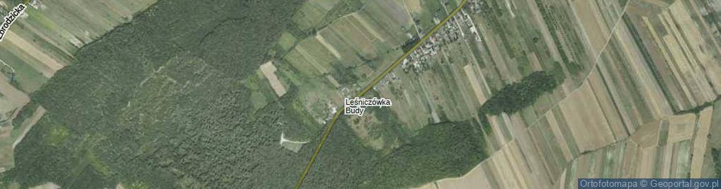 Zdjęcie satelitarne Widuchowa ul.